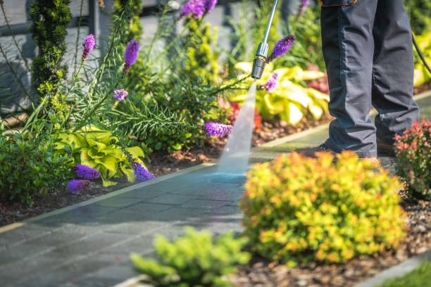 Best Boat and Dock Cleaning  in Spring Mount, PA